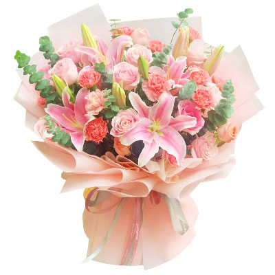 文山11朵粉色康乃馨玫瑰百合，充满爱和温馨